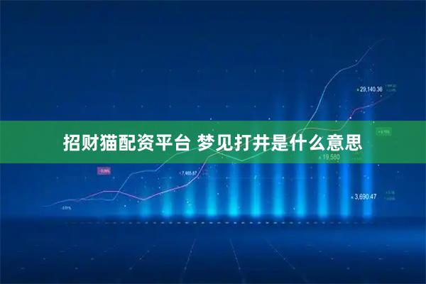 招财猫配资平台 梦见打井是什么意思