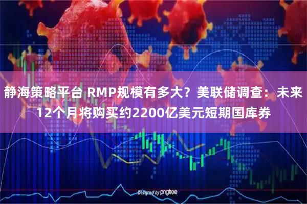 静海策略平台 RMP规模有多大？美联储调查：未来12个月将购买约2200亿美元短期国库券