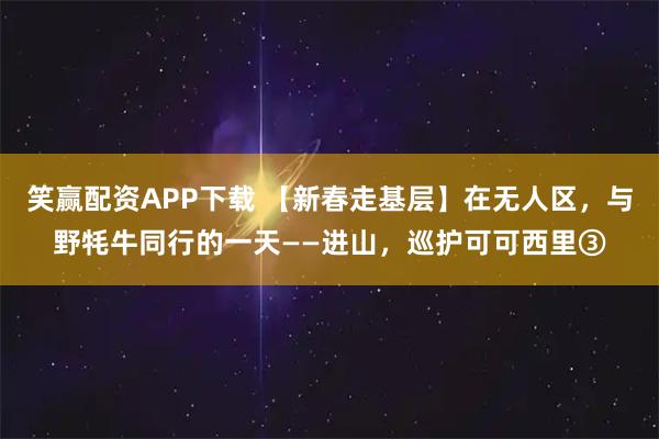 笑赢配资APP下载 【新春走基层】在无人区，与野牦牛同行的一天——进山，巡护可可西里③