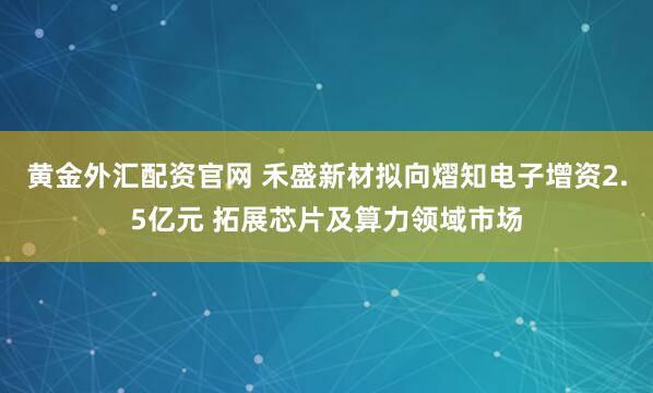 黄金外汇配资官网 禾盛新材拟向熠知电子增资2.5亿元 拓展芯片及算力领域市场