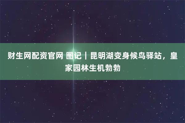 财生网配资官网 图记｜昆明湖变身候鸟驿站，皇家园林生机勃勃